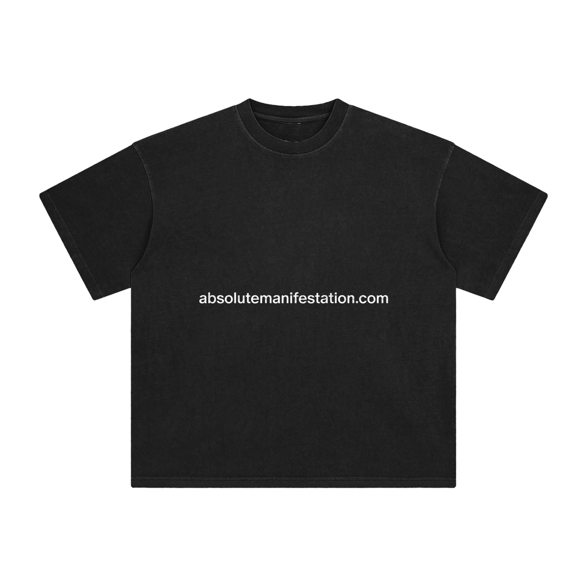 Absolutemanifestation.com washed T-Shirt