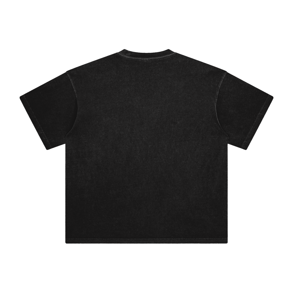 Absolutemanifestation.com washed T-Shirt